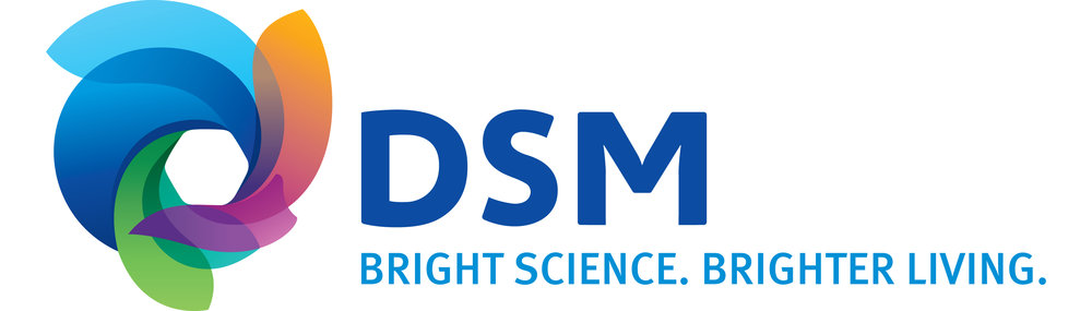 DSM_MasterLogo copy.jpg